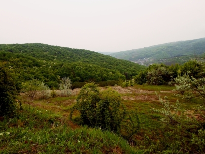Panorama din zona minei de petrol
